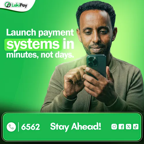 LakiPay, visual 3