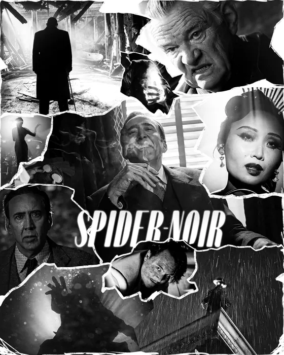 Spider noir poster